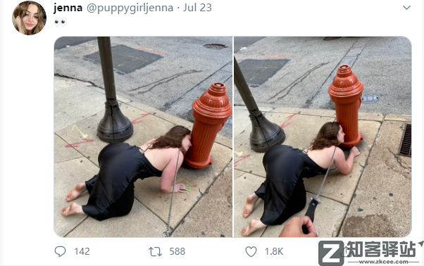 美女扮狗癖,年入600万,太恶臭了!-5 美女扮狗癖,年入600万,太恶臭了!-5