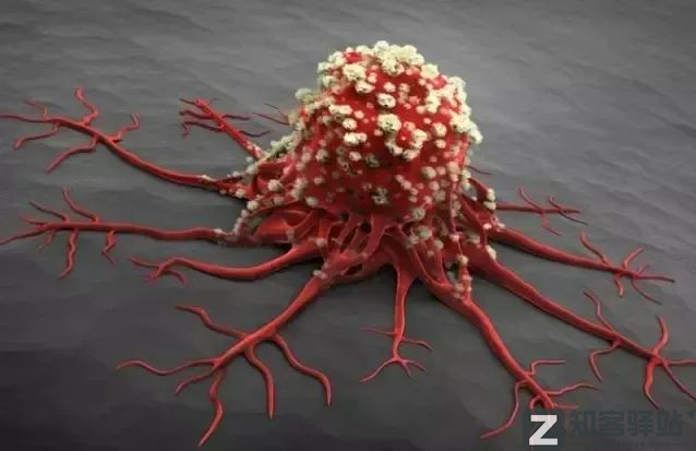 每天一分钟看世界！5月5日，农历 四月初五 星期四，历史上的今天和生活冷知识-2