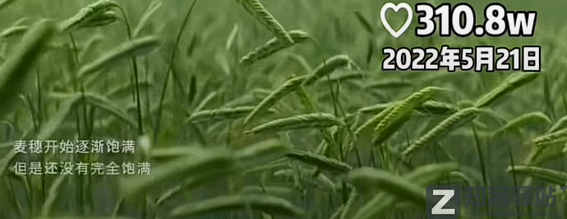 刘德华删抄袭视频，全网道歉了！-4