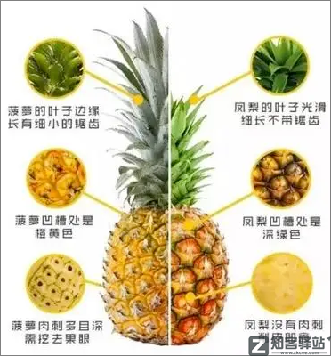 每天一分钟看世界!5月10日,农历 四月初十星期二,历史上的今天和生活冷知识-2 每天一分钟看世界!5月10日,农历 四月初十星期二,历史上的今天和生活冷知识-2