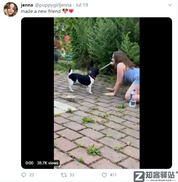 美女扮狗癖,年入600万,太恶臭了!-1 美女扮狗癖,年入600万,太恶臭了!-1