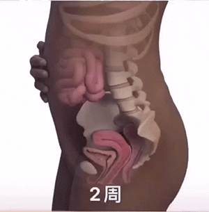 每天一分钟看世界!5月9日,农历 四月初九 星期一,历史上的今天和生活冷知识-2 每天一分钟看世界!5月9日,农历 四月初九 星期一,历史上的今天和生活冷知识-2