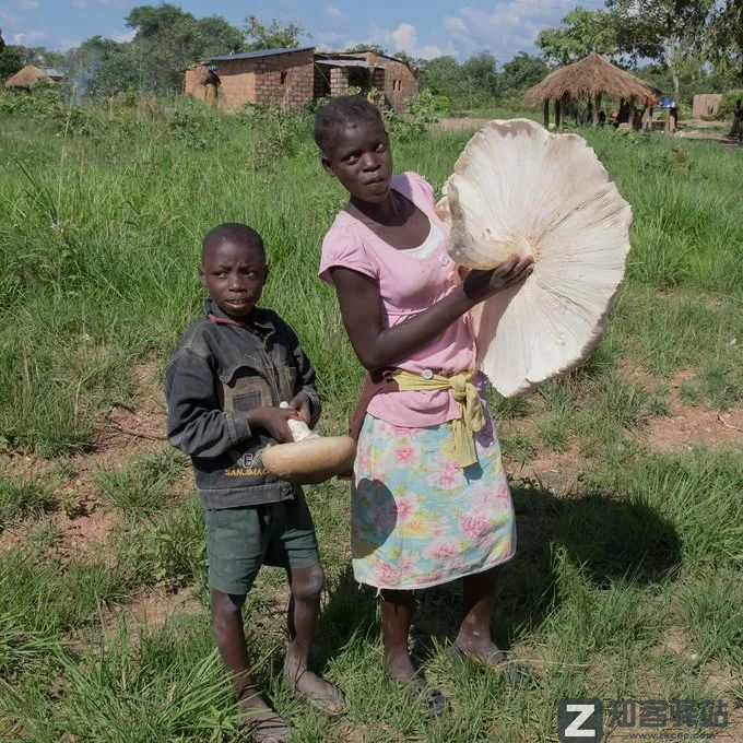 每天一分钟看世界!5月23日,农历 四月二十三星期一,历史上的今天和生活冷知识-1 每天一分钟看世界!5月23日,农历 四月二十三星期一,历史上的今天和生活冷知识-1