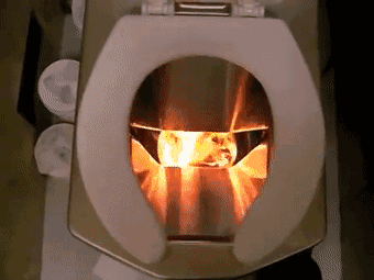 每天一分钟看世界！5月16日，农历 四月十六星期一，历史上的今天和生活冷知识-1