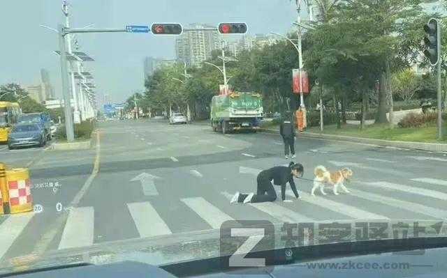 美女扮狗癖,年入600万,太恶臭了!-8 美女扮狗癖,年入600万,太恶臭了!-8