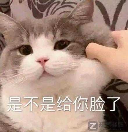 卫龙辣条当众搞黄色？太污了......-3