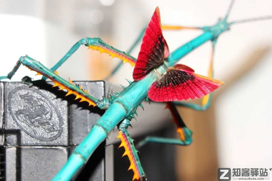 每天一分钟看世界！6月6日，农历 五月初八星期一，历史上的今天和生活冷知识-2