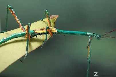 每天一分钟看世界！6月6日，农历 五月初八星期一，历史上的今天和生活冷知识-3