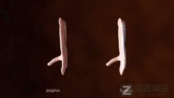 每天一分钟看世界！6月16日，农历 五月十八星期四，历史上的今天和生活冷知识-2