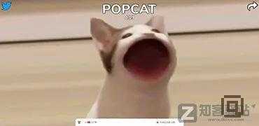 解锁一大波涨姿势的小众网站,总有你未曾涉足的新大陆-9 解锁一大波涨姿势的小众网站,总有你未曾涉足的新大陆-9