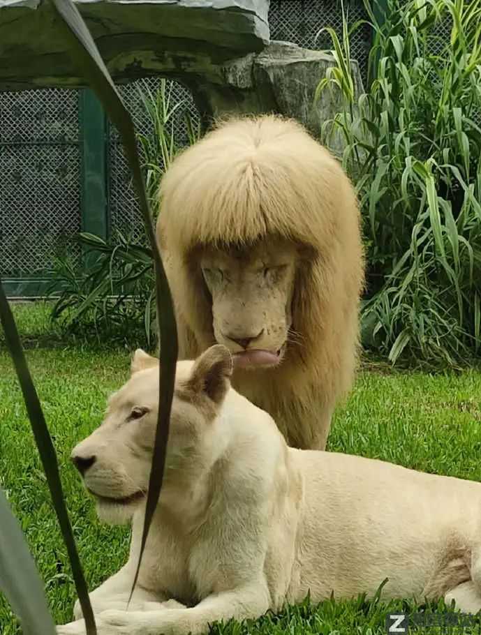 2022年6月22日，历史上的今天和生活冷知识-4