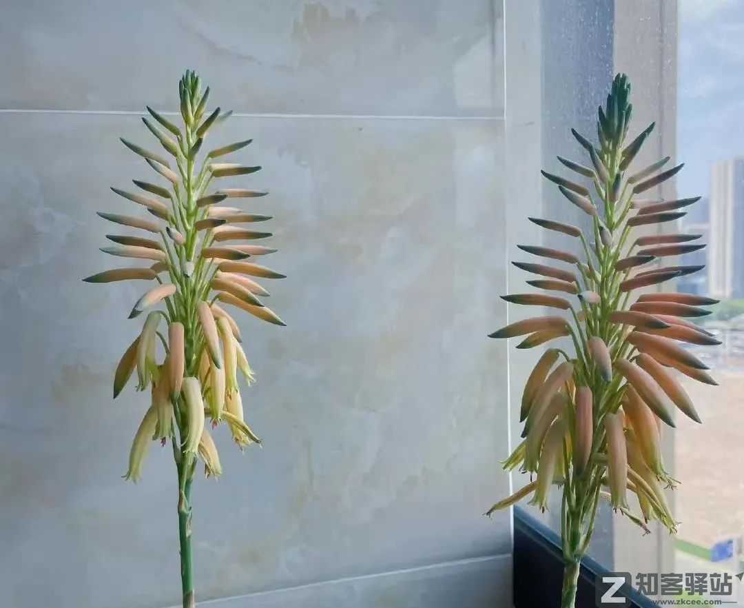 2022年6月23日,历史上的今天和生活冷知识-2 2022年6月23日,历史上的今天和生活冷知识-2