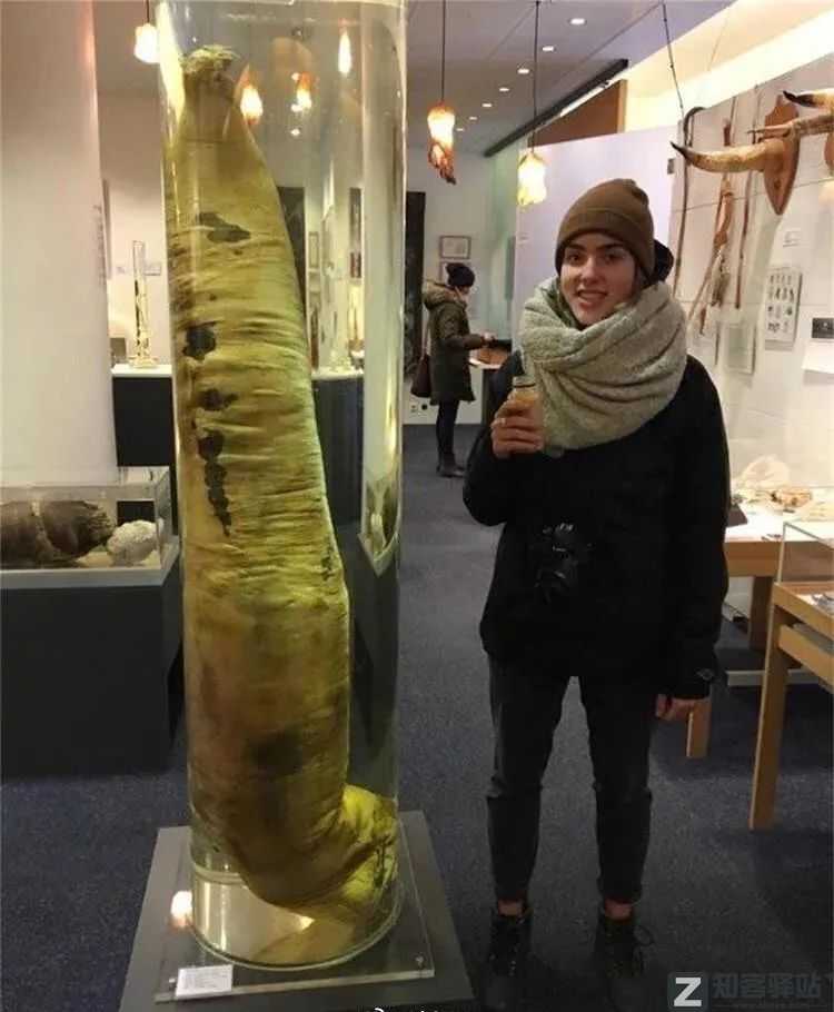 2022年6月27日,历史上的今天和生活冷知识