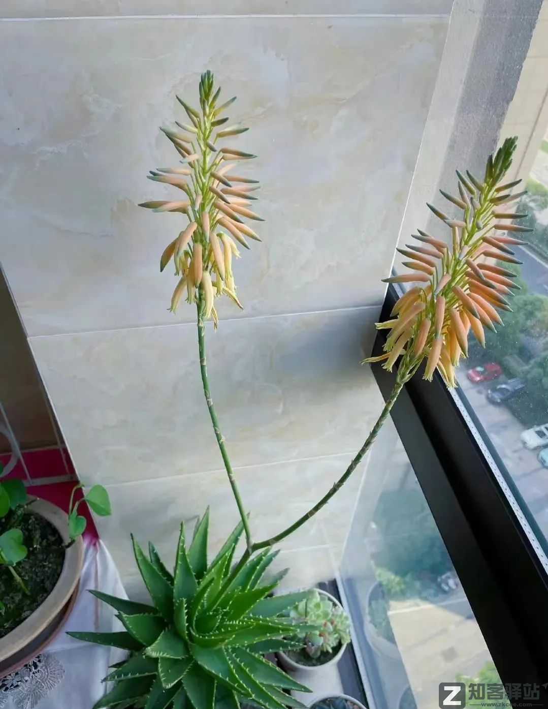 2022年6月23日,历史上的今天和生活冷知识-1 2022年6月23日,历史上的今天和生活冷知识-1