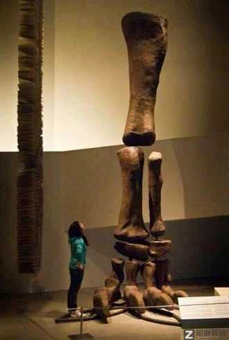 每天一分钟看世界!6月3日,农历 五月初五星期五,历史上的今天和生活冷知识-1 每天一分钟看世界!6月3日,农历 五月初五星期五,历史上的今天和生活冷知识-1