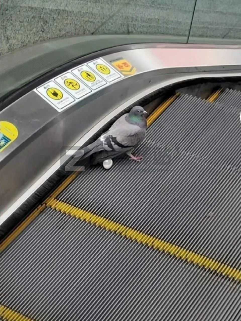 2022年7月7日，历史上的今天和生活冷知识-3