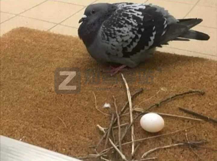 2022年7月7日，历史上的今天和生活冷知识-1