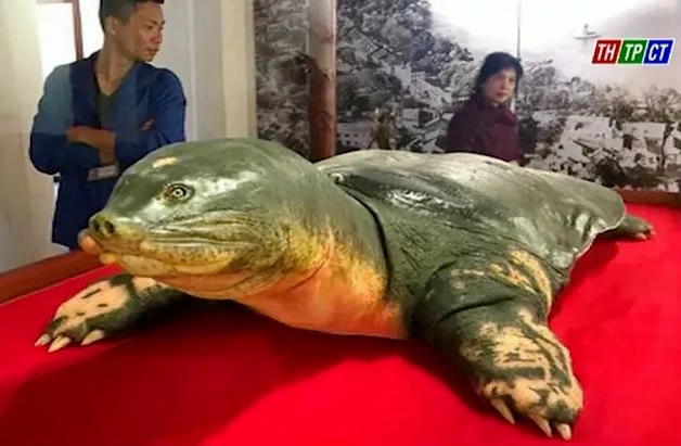 2022年8月5日，历史上的今天和生活冷知识-2