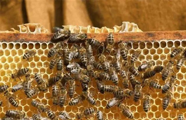 2022年8月16日，历史上的今天和生活冷知识-2