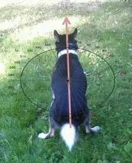 2022年8月14日,历史上的今天和生活冷知识