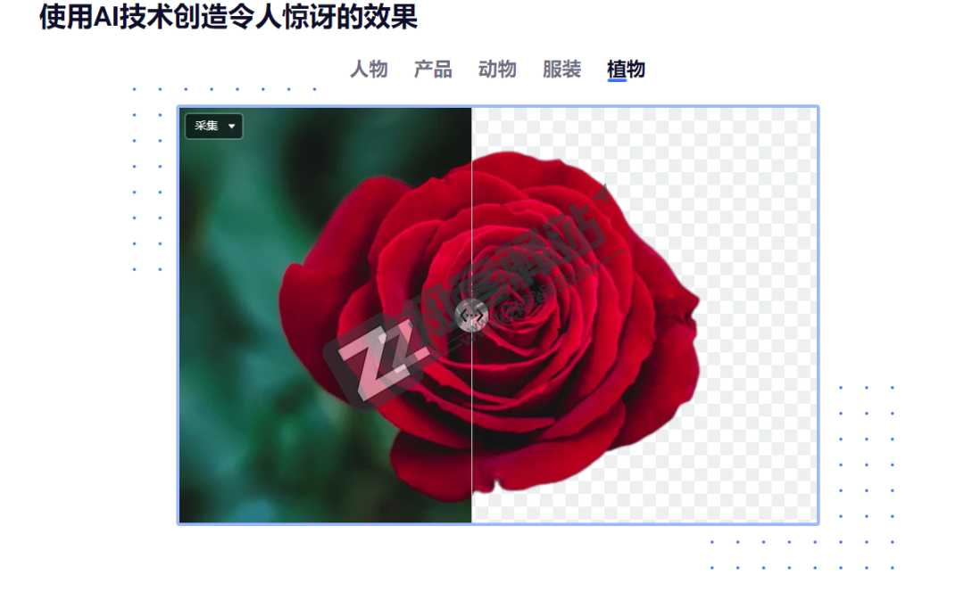 BgSub（智能抠图）-2