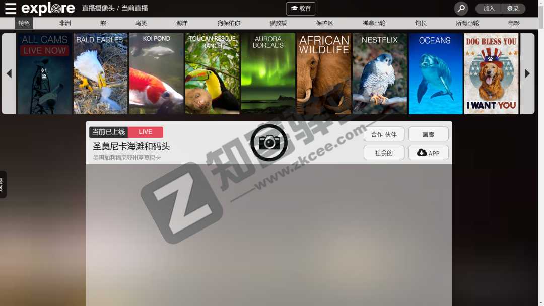 全球各地动物直播