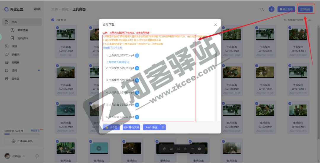 一款,能暴力突破阿里云盘限制的神器!-6 一款,能暴力突破阿里云盘限制的神器!-6