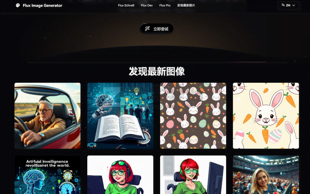 黑森林实验室Flux.1-1