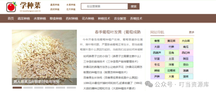 超级有趣的实用网站合集，赶紧收藏！🎉-1