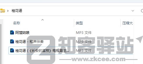 Spotify Music Downloader-5