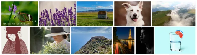 超级猛货|分享12个老司机私藏已久的神仙网站-12