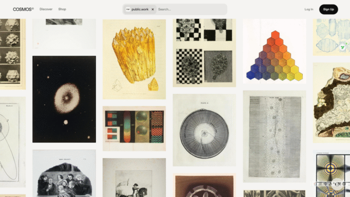 Cosmos免费图库-1